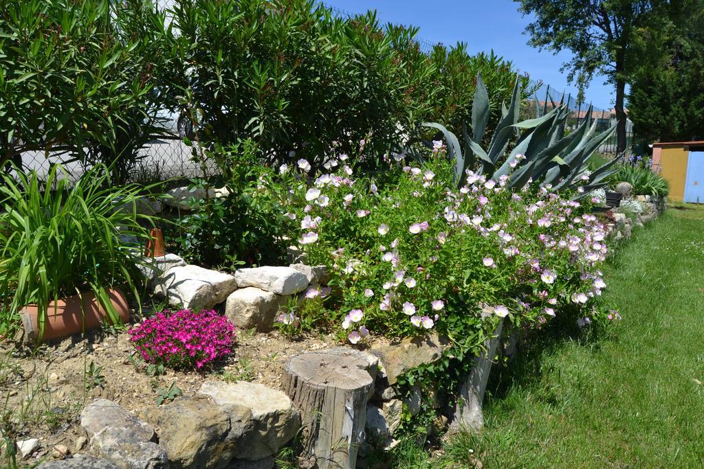 Village De Gites Les Olivettes Saint-Dezery Екстериор снимка
